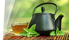 công ty tnhh tea paris việt nam