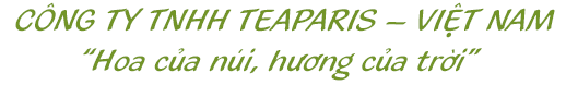 công ty tnhh tea paris việt nam